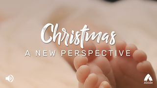 Christmas: A New Perspective Luke 2:26-38 New Living Translation