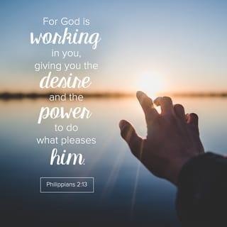 Philippians 2:13-15 - For it is God which worketh in you both to will and to do of his good pleasure. Do all things without murmurings and disputings: that ye may be blameless and harmless, the sons of God, without rebuke, in the midst of a crooked and perverse nation, among whom ye shine as lights in the world