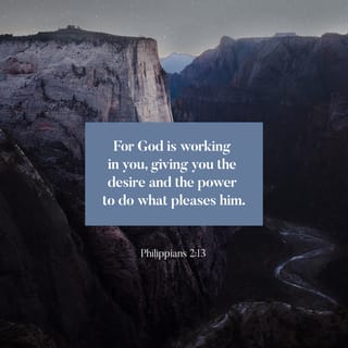 Philippians 2:13-15 - For God is working in you, giving you the desire and the power to do what pleases him.
Do everything without complaining and arguing, so that no one can criticize you. Live clean, innocent lives as children of God, shining like bright lights in a world full of crooked and perverse people.