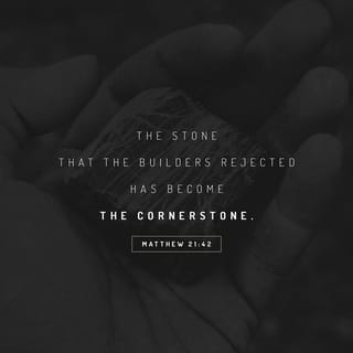 Matthew 21:42 - Jesus said to them, “Have you never read in the Scriptures:
“ ‘The stone the builders rejected
has become the cornerstone;
the Lord has done this,
and it is marvelous in our eyes’?