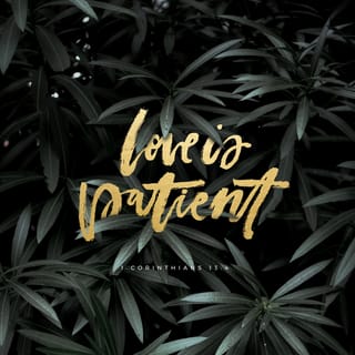 1 Corinthians 13:4-8 - Love is patient and kind; love does not envy or boast; it is not arrogant or rude. It does not insist on its own way; it is not irritable or resentful; it does not rejoice at wrongdoing, but rejoices with the truth. Love bears all things, believes all things, hopes all things, endures all things.
Love never ends. As for prophecies, they will pass away; as for tongues, they will cease; as for knowledge, it will pass away.
