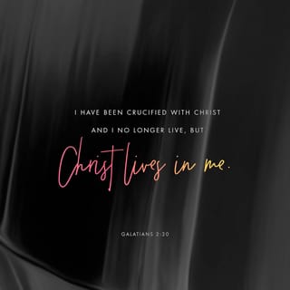 Galatians 2:20-21 - I have been crucified with Christ [that is, in Him I have shared His crucifixion]; it is no longer I who live, but Christ lives in me. The life I now live in the body I live by faith [by adhering to, relying on, and completely trusting] in the Son of God, who loved me and gave Himself up for me. I do not ignore or nullify the [gracious gift of the] grace of God [His amazing, unmerited favor], for if righteousness comes through [observing] the Law, then Christ died needlessly. [His suffering and death would have had no purpose whatsoever.]”