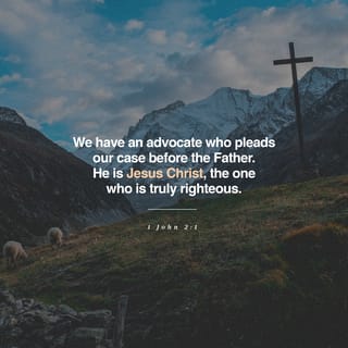 1 John 2:1 - My dear children, I write this letter to you so you will not sin. But if anyone does sin, we have a helper in the presence of the Father—Jesus Christ, the One who does what is right.