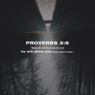 Proverbs 3:6 - In all your ways acknowledge him,
and he will make straight your paths.