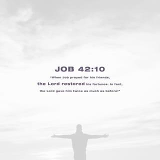 Job 42:10-12 - After Job had prayed for his friends, the LORD gave him success again. The LORD gave Job twice as much as he had owned before. Job’s brothers and sisters came to his house, along with everyone who had known him before, and they all ate with him there. They comforted him and made him feel better about the trouble the LORD had brought on him, and each one gave Job a piece of silver and a gold ring.
The LORD blessed the last part of Job’s life even more than the first part. Job had fourteen thousand sheep, six thousand camels, a thousand teams of oxen, and a thousand female donkeys.