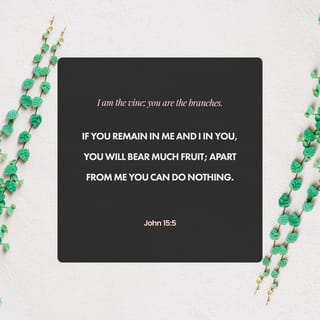 John 15:5 - I am the vine; you are the branches. If you remain in me and I in you, then you will produce much fruit. Without me, you can’t do anything.