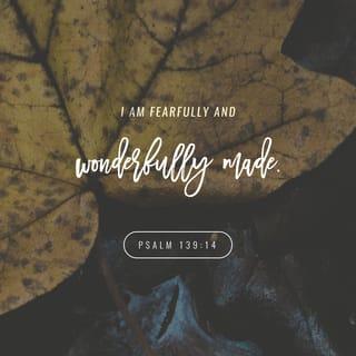 Psalms 139:14 - I praise you because you made me in an amazing and wonderful way.
What you have done is wonderful.
I know this very well.