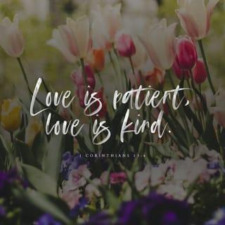 1 Corinthians 13:4-5 - Love is patient and kind. Love is not jealous or boastful or proud or rude. It does not demand its own way. It is not irritable, and it keeps no record of being wronged.