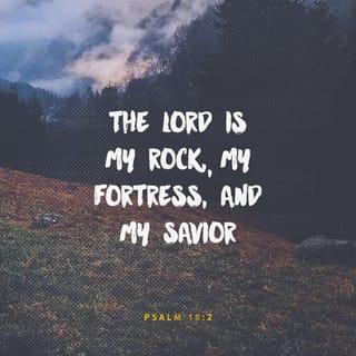 Psalms 18:2 - The LORD is my rock, my protection, my Savior.
My God is my rock.
I can run to him for safety.
He is my shield and my saving strength, my defender.