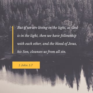 I John 1:6-8 - If we say that we have fellowship with Him, and walk in darkness, we lie and do not practice the truth. But if we walk in the light as He is in the light, we have fellowship with one another, and the blood of Jesus Christ His Son cleanses us from all sin.
If we say that we have no sin, we deceive ourselves, and the truth is not in us.