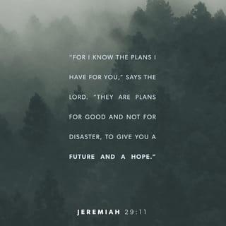 Jeremiah 29:11-13 - For I know the plans I have for you,” says the LORD. “They are plans for good and not for disaster, to give you a future and a hope. In those days when you pray, I will listen. If you look for me wholeheartedly, you will find me.
