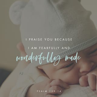Psalm 139:13-18 - For you formed my inward parts;
you knitted me together in my mother’s womb.
I praise you, for I am fearfully and wonderfully made.
Wonderful are your works;
my soul knows it very well.
My frame was not hidden from you,
when I was being made in secret,
intricately woven in the depths of the earth.
Your eyes saw my unformed substance;
in your book were written, every one of them,
the days that were formed for me,
when as yet there was none of them.

How precious to me are your thoughts, O God!
How vast is the sum of them!
If I would count them, they are more than the sand.
I awake, and I am still with you.
