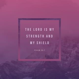 Psalm 28:7 - The LORD is my strength and my shield;
in him my heart trusts, and I am helped;
my heart exults,
and with my song I give thanks to him.