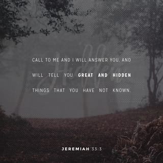 Jeremiah 33:2-3 - “Thus says the LORD who made the earth, the LORD who formed it to establish it, the LORD is His name, ‘Call to Me and I will answer you, and I will tell you great and mighty things, which you do not know.’