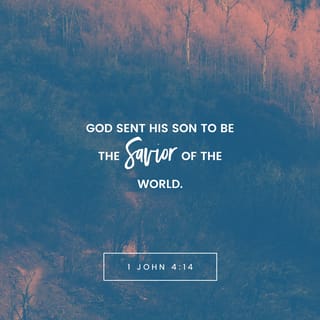 1 John 4:13-15 - Hereby know we that we dwell in him, and he in us, because he hath given us of his Spirit. And we have seen and do testify that the Father sent the Son to be the Saviour of the world. Whosoever shall confess that Jesus is the Son of God, God dwelleth in him, and he in God.