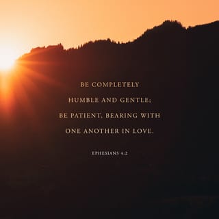 Ephesians 4:2-3 - with all humility [forsaking self-righteousness], and gentleness [maintaining self-control], with patience, bearing with one another in [unselfish] love. Make every effort to keep the oneness of the Spirit in the bond of peace [each individual working together to make the whole successful].