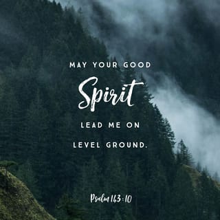 Psalms 143:10 - Teach me to do what you want,
because you are my God.
Let your good Spirit
lead me on level ground.
