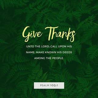 Psalm 105:1-45 - O give thanks unto the LORD; call upon his name:
Make known his deeds among the people.
Sing unto him, sing psalms unto him:
Talk ye of all his wondrous works.
Glory ye in his holy name:
Let the heart of them rejoice that seek the LORD.

Seek the LORD, and his strength:
Seek his face evermore.
Remember his marvellous works that he hath done;
His wonders, and the judgments of his mouth;
O ye seed of Abraham his servant,
Ye children of Jacob his chosen.

He is the LORD our God:
His judgments are in all the earth.
He hath remembered his covenant for ever,
The word which he commanded to a thousand generations.
Which covenant he made with Abraham,
And his oath unto Isaac;
And confirmed the same unto Jacob for a law,
And to Israel for an everlasting covenant:
Saying, Unto thee will I give the land of Canaan,
The lot of your inheritance:

When they were but a few men in number;
Yea, very few, and strangers in it.
When they went from one nation to another,
From one kingdom to another people;
He suffered no man to do them wrong:
Yea, he reproved kings for their sakes;
Saying, Touch not mine anointed,
And do my prophets no harm.

Moreover he called for a famine upon the land:
He brake the whole staff of bread.
He sent a man before them,
Even Joseph, who was sold for a servant:
Whose feet they hurt with fetters:
He was laid in iron:

Until the time that his word came:
The word of the LORD tried him.
The king sent and loosed him;
Even the ruler of the people, and let him go free.
He made him lord of his house,
And ruler of all his substance:
To bind his princes at his pleasure;
And teach his senators wisdom.
Israel also came into Egypt;
And Jacob sojourned in the land of Ham.
And he increased his people greatly;
And made them stronger than their enemies.
He turned their heart to hate his people,
To deal subtilly with his servants.
He sent Moses his servant;
And Aaron whom he had chosen.
They shewed his signs among them,
And wonders in the land of Ham.
He sent darkness, and made it dark;
And they rebelled not against his word.
He turned their waters into blood,
And slew their fish.
Their land brought forth frogs in abundance,
In the chambers of their kings.
He spake, and there came divers sorts of flies,
And lice in all their coasts.

He gave them hail for rain,
And flaming fire in their land.
He smote their vines also and their fig trees;
And brake the trees of their coasts.
He spake, and the locusts came, and caterpillers, and that without number,
And did eat up all the herbs in their land, and devoured the fruit of their ground.
He smote also all the firstborn in their land,
The chief of all their strength.

He brought them forth also with silver and gold:
And there was not one feeble person among their tribes.
Egypt was glad when they departed:
For the fear of them fell upon them.
He spread a cloud for a covering;
And fire to give light in the night.
The people asked, and he brought quails,
And satisfied them with the bread of heaven.
He opened the rock, and the waters gushed out;
They ran in the dry places like a river.
For he remembered his holy promise,
And Abraham his servant.

And he brought forth his people with joy,
And his chosen with gladness:
And gave them the lands of the heathen:
And they inherited the labour of the people;
That they might observe his statutes,
And keep his laws.
Praise ye the LORD.