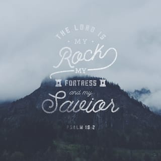 Psalm 18:2 - The LORD is my rock and my fortress and my deliverer,
my God, my rock, in whom I take refuge,
my shield, and the horn of my salvation, my stronghold.