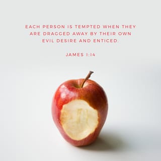James 1:13-14 - When tempted, no one should say, “God is tempting me.” For God cannot be tempted by evil, nor does he tempt anyone; but each person is tempted when they are dragged away by their own evil desire and enticed.