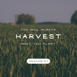 Galatians 6:7-9 - Do not be deceived, God is not mocked; for whatever a man sows, this he will also reap. For the one who sows to his own flesh will from the flesh reap corruption, but the one who sows to the Spirit will from the Spirit reap eternal life. Let us not lose heart in doing good, for in due time we will reap if we do not grow weary.