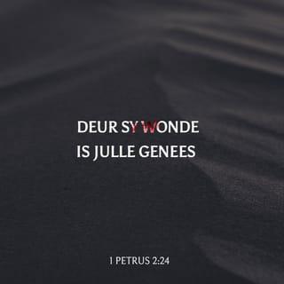 1 PETRUS 2:24-25 AFR83