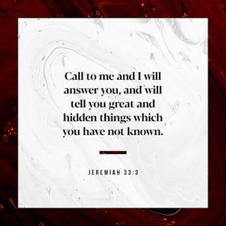Jeremiah 33:2-3 - “Thus says the LORD who made the earth, the LORD who formed it to establish it—the LORD is his name: Call to me and I will answer you, and will tell you great and hidden things that you have not known.
