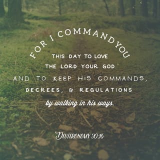 Deuteronomy 30:15-20 - Look, today I offer you life and success, death and destruction. I command you today to love the LORD your God, to do what he wants you to do, and to keep his commands, his rules, and his laws. Then you will live and grow in number, and the LORD your God will bless you in the land you are entering to take as your own.
But if you turn away from the LORD and do not obey him, if you are led to bow and serve other gods, I tell you today that you will surely be destroyed. And you will not live long in the land you are crossing the Jordan River to enter and take as your own.
Today I ask heaven and earth to be witnesses. I am offering you life or death, blessings or curses. Now, choose life! Then you and your children may live. To choose life is to love the LORD your God, obey him, and stay close to him. He is your life, and he will let you live many years in the land, the land he promised to give your ancestors Abraham, Isaac, and Jacob.