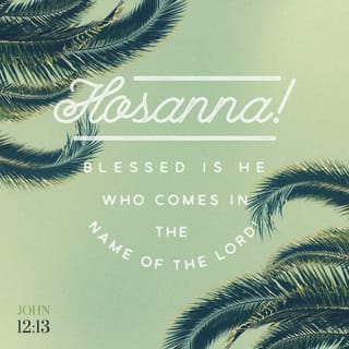 John 12:13 - took the branches of the palm trees and went out to meet Him, and began to shout, “Hosanna! BLESSED IS HE WHO COMES IN THE NAME OF THE LORD, even the King of Israel.”