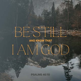 Psalms 46:10 - God says, “Be still and know that I am God.
I will be praised in all the nations;
I will be praised throughout the earth.”