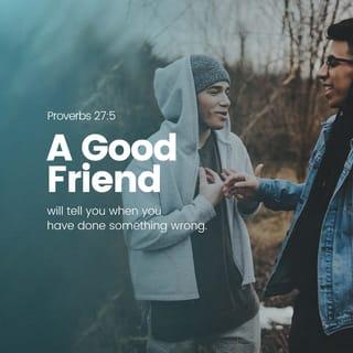Proverbs 27:5-6 - It’s better to be corrected openly
if it stems from hidden love.
You can trust a friend who wounds you with his honesty,
but your enemy’s pretended flattery comes from insincerity.