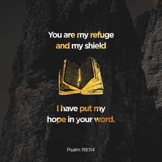 Psalms 119:114 - Thou art my hiding-place and my shield:
I hope in thy word.