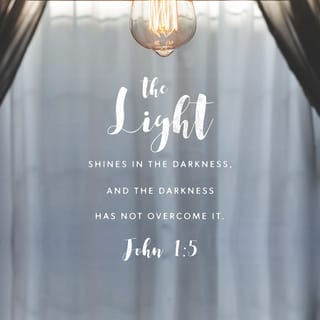 John 1:5 - The light shines in the darkness,
and the darkness doesn’t extinguish the light.