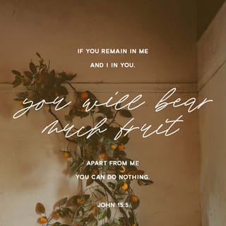 John 15:5 - I am the vine; you are the branches. If you remain in me and I in you, then you will produce much fruit. Without me, you can’t do anything.