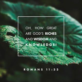 Romans 11:33 - Oh, how great are God’s riches and wisdom and knowledge! How impossible it is for us to understand his decisions and his ways!
