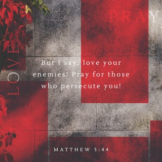 Matthew 5:44 - But I say to you, love your enemies, bless those who curse you, do good to those who hate you, and pray for those who spitefully use you and persecute you