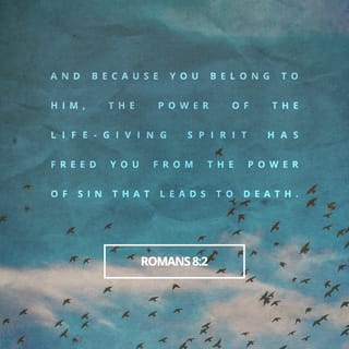 Romans 8:1-2 - With the arrival of Jesus, the Messiah, that fateful dilemma is resolved. Those who enter into Christ’s being-here-for-us no longer have to live under a continuous, low-lying black cloud. A new power is in operation. The Spirit of life in Christ, like a strong wind, has magnificently cleared the air, freeing you from a fated lifetime of brutal tyranny at the hands of sin and death.