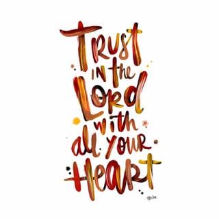 Proverbs 3:5 - Trust in the Lord completely,
and do not rely on your own opinions.
With all your heart rely on him to guide you,
and he will lead you in every decision you make.