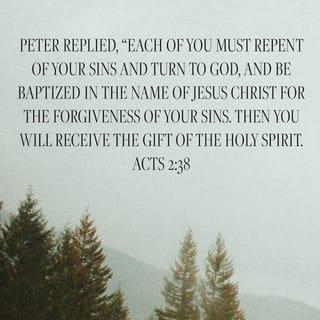 Acts 2:38-41 - Peter replied, “Repent and be baptized, each of you, in the name of Jesus Christ for the forgiveness of your sins, and you will receive the gift of the Holy Spirit. For the promise is for you and for your children, and for all who are far off, as many as the Lord our God will call.” With many other words he testified and strongly urged them, saying, “Be saved from this corrupt generation!” So those who accepted his message were baptized, and that day about three thousand people were added to them.