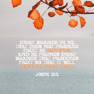 John 15:2 - He cuts off every branch of mine that doesn’t produce fruit, and he prunes the branches that do bear fruit so they will produce even more.