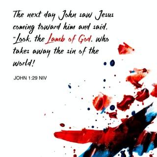 John 1:29 - John saw Jesus coming toward him the next day and said, “Look! This is the Lamb of God who takes away the sin of the world.