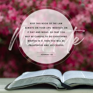 Joshua 1:8 - Recite this scroll of the law constantly. Contemplate it day and night and be careful to follow every word it contains; then you will enjoy incredible prosperity and success.