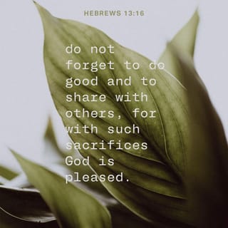 Hebrews 13:16 - Make sure you don’t take things for granted and go slack in working for the common good; share what you have with others. God takes particular pleasure in acts of worship—a different kind of “sacrifice”—that take place in kitchen and workplace and on the streets.