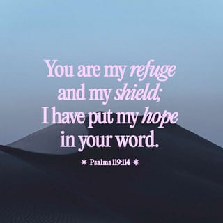 Psalms 119:114 - Thou art my hiding-place and my shield:
I hope in thy word.