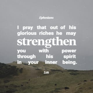 Ephesians 3:16 - And I pray that he would unveil within you the unlimited riches of his glory and favor until supernatural strength floods your innermost being with his divine might and explosive power.