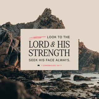 1 Chronicles 16:11 - Seek the LORD and His strength;
Seek His face continually.