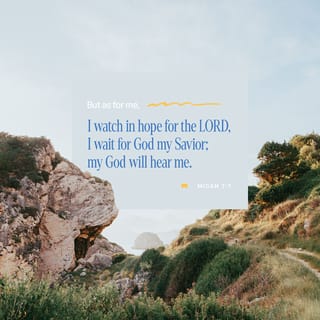 Micah 7:7 - But as for me, I will watch expectantly for the LORD;
I will wait for the God of my salvation.
My God will hear me.