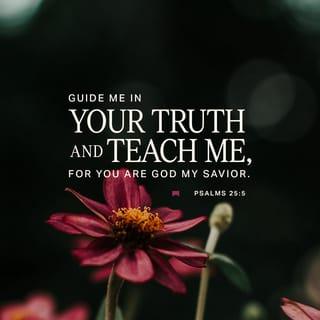 Psalms 25:4-5 - Show me thy ways, O Jehovah;
Teach me thy paths.
Guide me in thy truth, and teach me;
For thou art the God of my salvation;
For thee do I wait all the day.