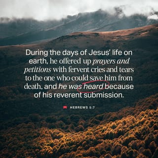 Hebrews 5:7-8 - During the days of Jesus’ life on earth, he offered up prayers and petitions with fervent cries and tears to the one who could save him from death, and he was heard because of his reverent submission. Son though he was, he learned obedience from what he suffered