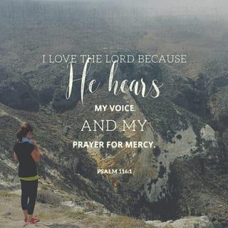 Psalms 116:1-19 - I love the LORD,
because he listens to my prayers for help.
He paid attention to me,
so I will call to him for help as long as I live.
The ropes of death bound me,
and the fear of the grave took hold of me.
I was troubled and sad.
Then I called out the name of the LORD.
I said, “Please, LORD, save me!”
The LORD is kind and does what is right;
our God is merciful.
The LORD watches over the foolish;
when I was helpless, he saved me.
I said to myself, “Relax,
because the LORD takes care of you.”
LORD, you saved me from death.
You stopped my eyes from crying;
you kept me from being defeated.
So I will walk with the LORD
in the land of the living.
I believed, so I said,
“I am completely ruined.”
In my distress I said,
“All people are liars.”
What can I give the LORD
for all the good things he has given to me?
I will lift up the cup of salvation,
and I will pray to the LORD.
I will give the LORD what I promised
in front of all his people.
The death of one that belongs to the LORD
is precious in his sight.
LORD, I am your servant;
I am your servant and the son of your female servant.
You have freed me from my chains.
I will give you an offering to show thanks to you,
and I will pray to the LORD.
I will give the LORD what I promised
in front of all his people,
in the Temple courtyards
in Jerusalem.
Praise the LORD!
